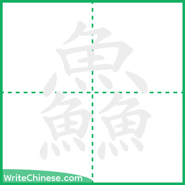中国語の簡体字「鱻」の筆順アニメーション