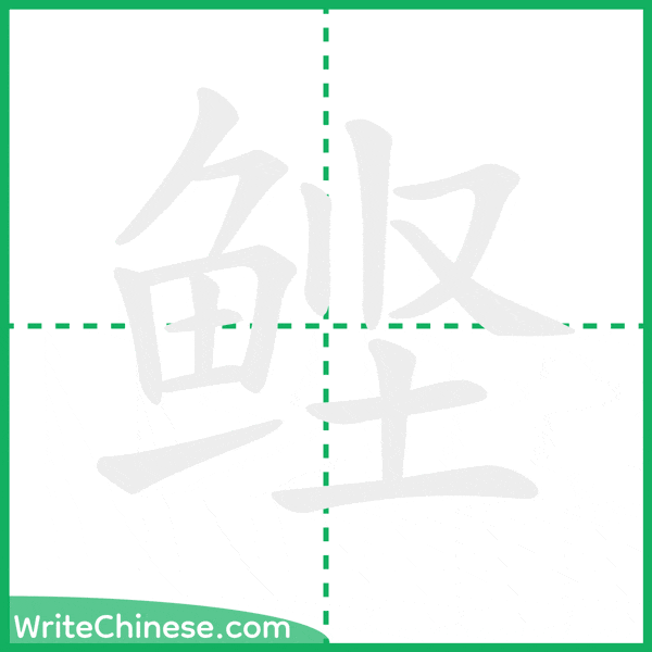 中国語の簡体字「鲣」の筆順アニメーション