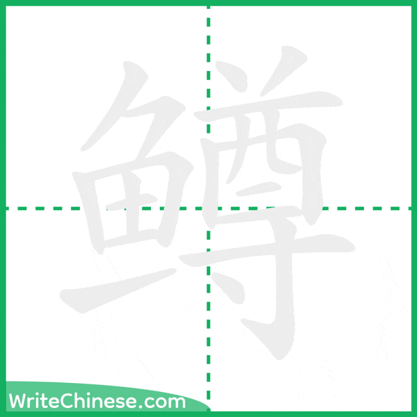 中国語の簡体字「鳟」の筆順アニメーション