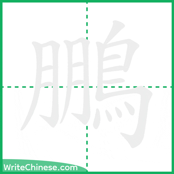 中国語の簡体字「鵬」の筆順アニメーション
