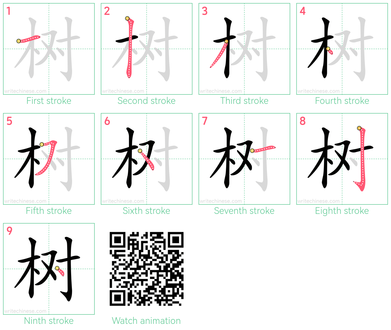 树 step-by-step stroke order diagrams