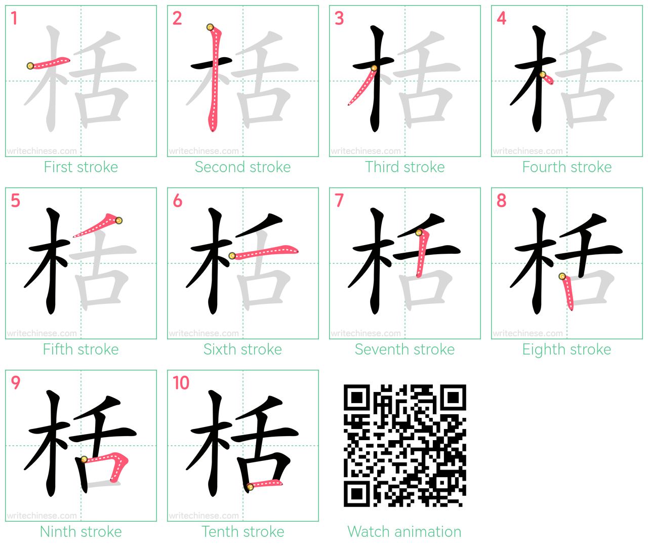栝 step-by-step stroke order diagrams