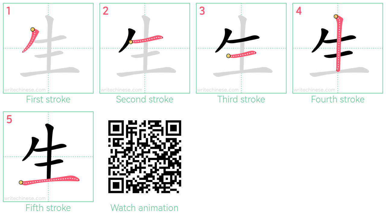 生 step-by-step stroke order diagrams
