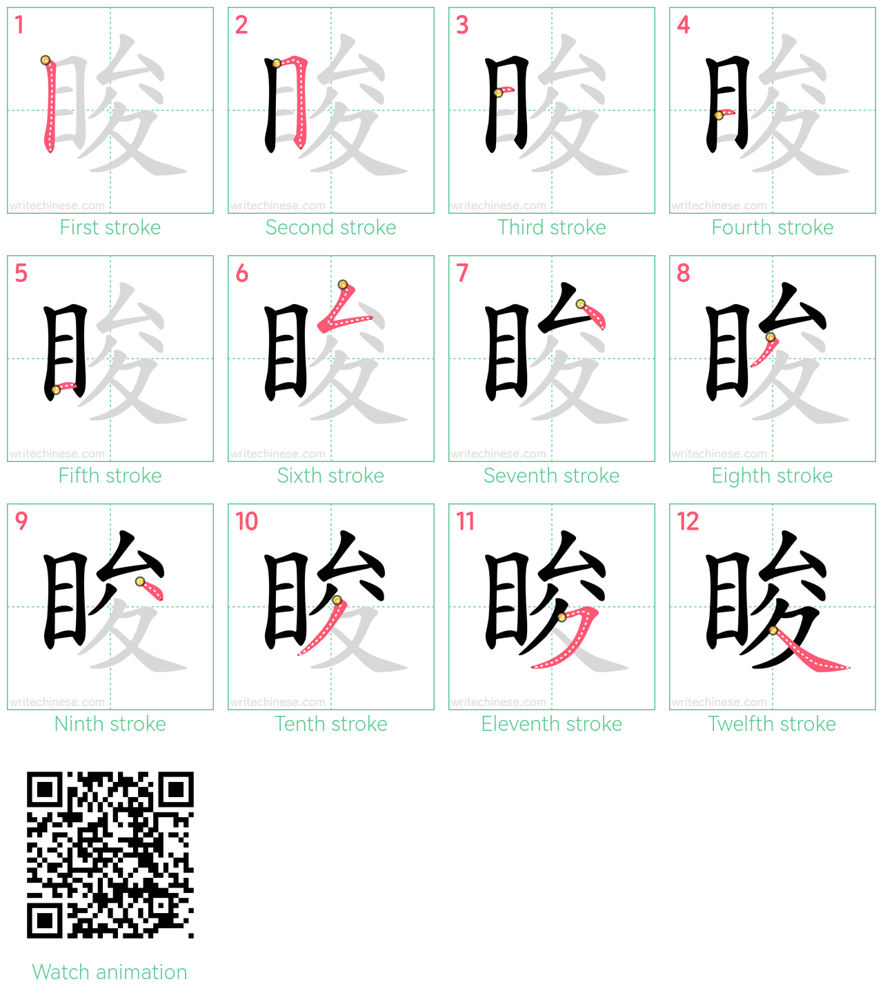 睃 step-by-step stroke order diagrams