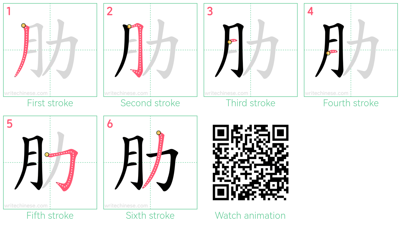 肋 step-by-step stroke order diagrams