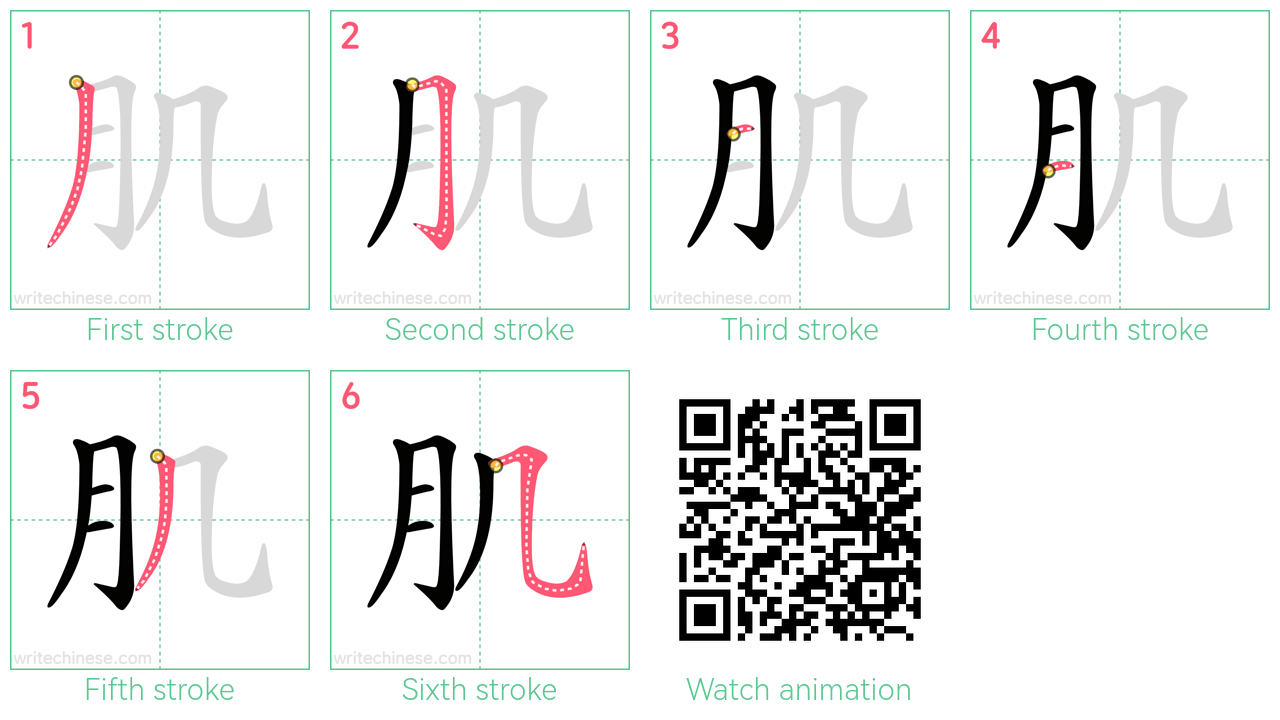肌 step-by-step stroke order diagrams