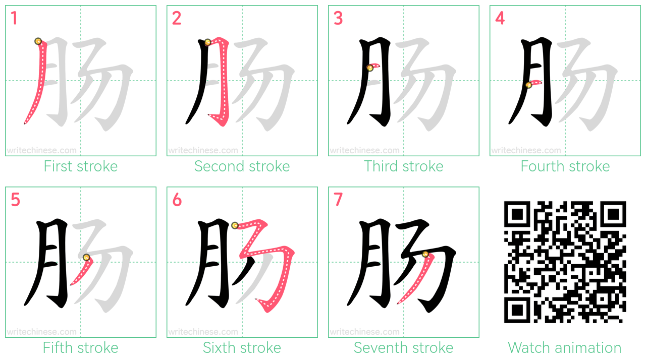 肠 step-by-step stroke order diagrams