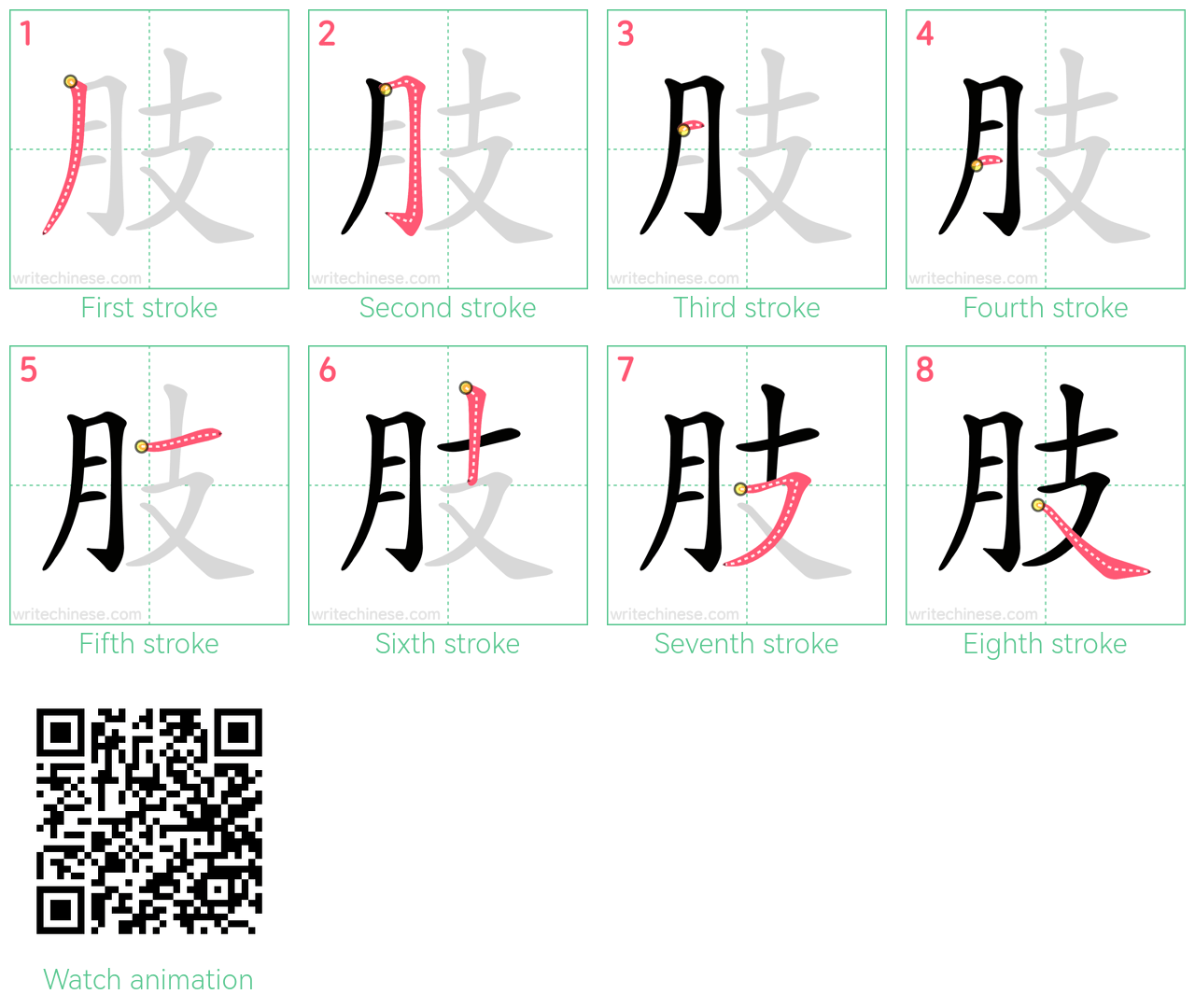 肢 step-by-step stroke order diagrams