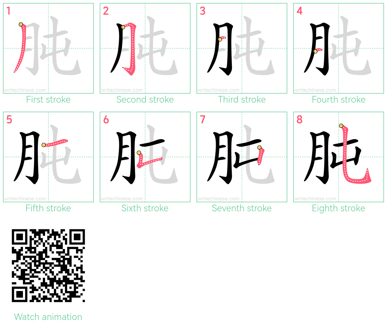 肫 step-by-step stroke order diagrams