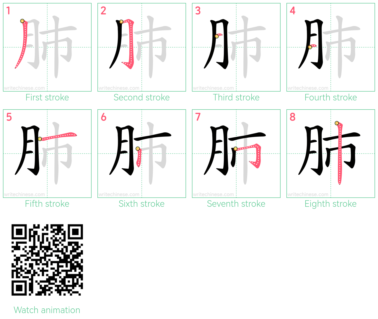 肺 step-by-step stroke order diagrams