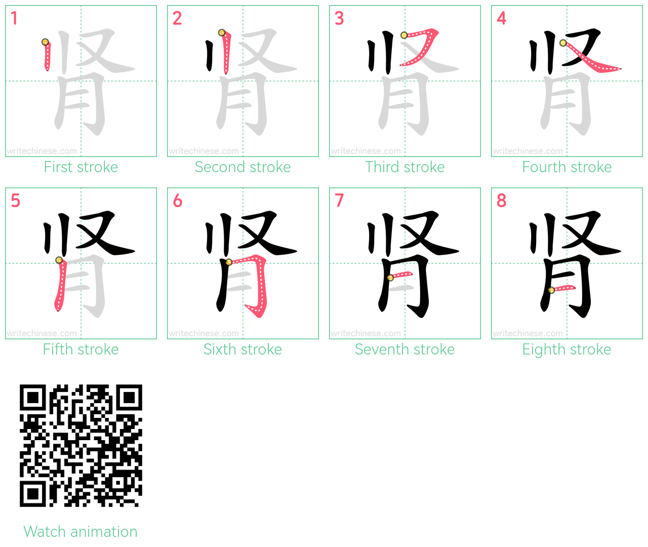 肾 step-by-step stroke order diagrams