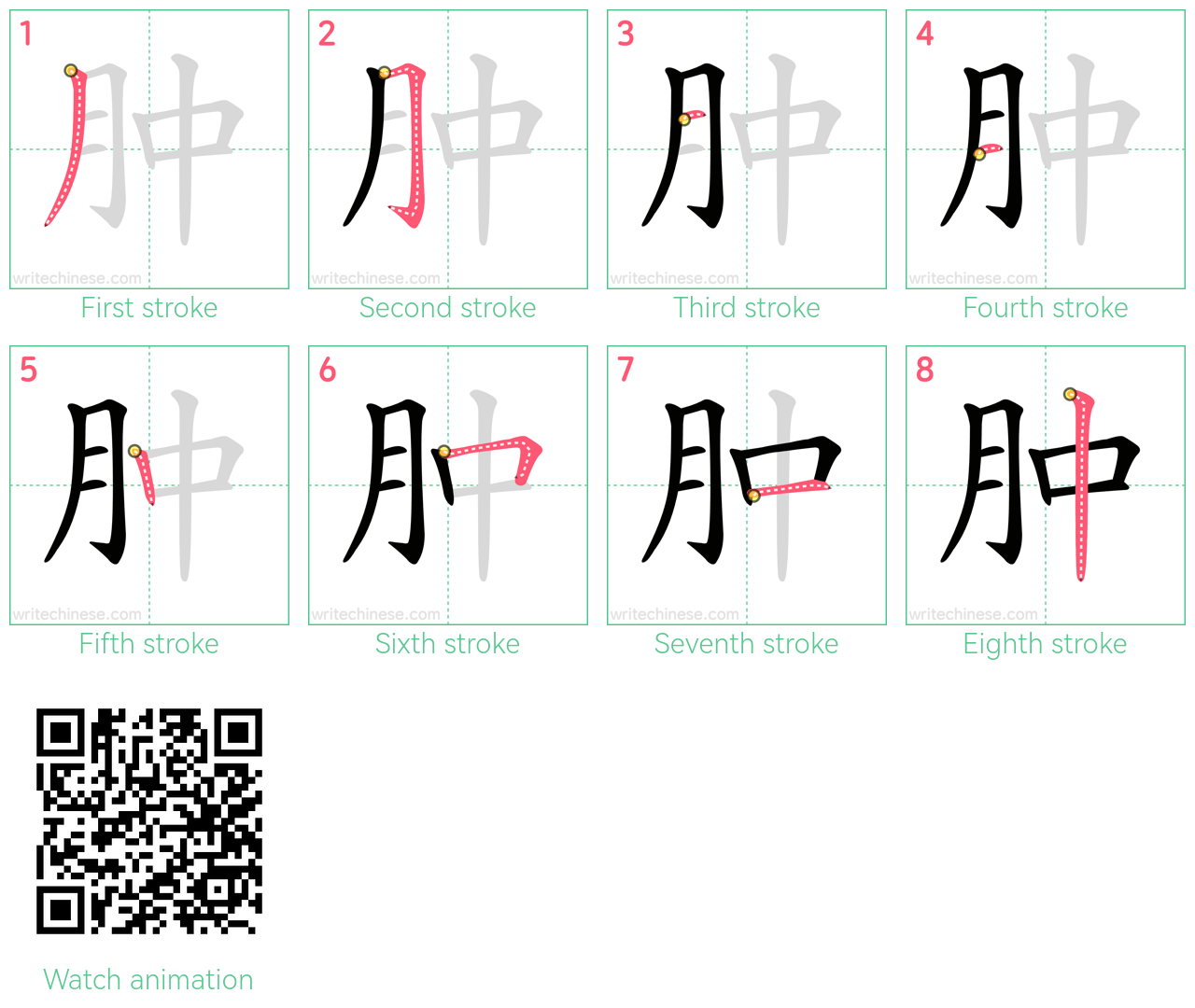 肿 step-by-step stroke order diagrams