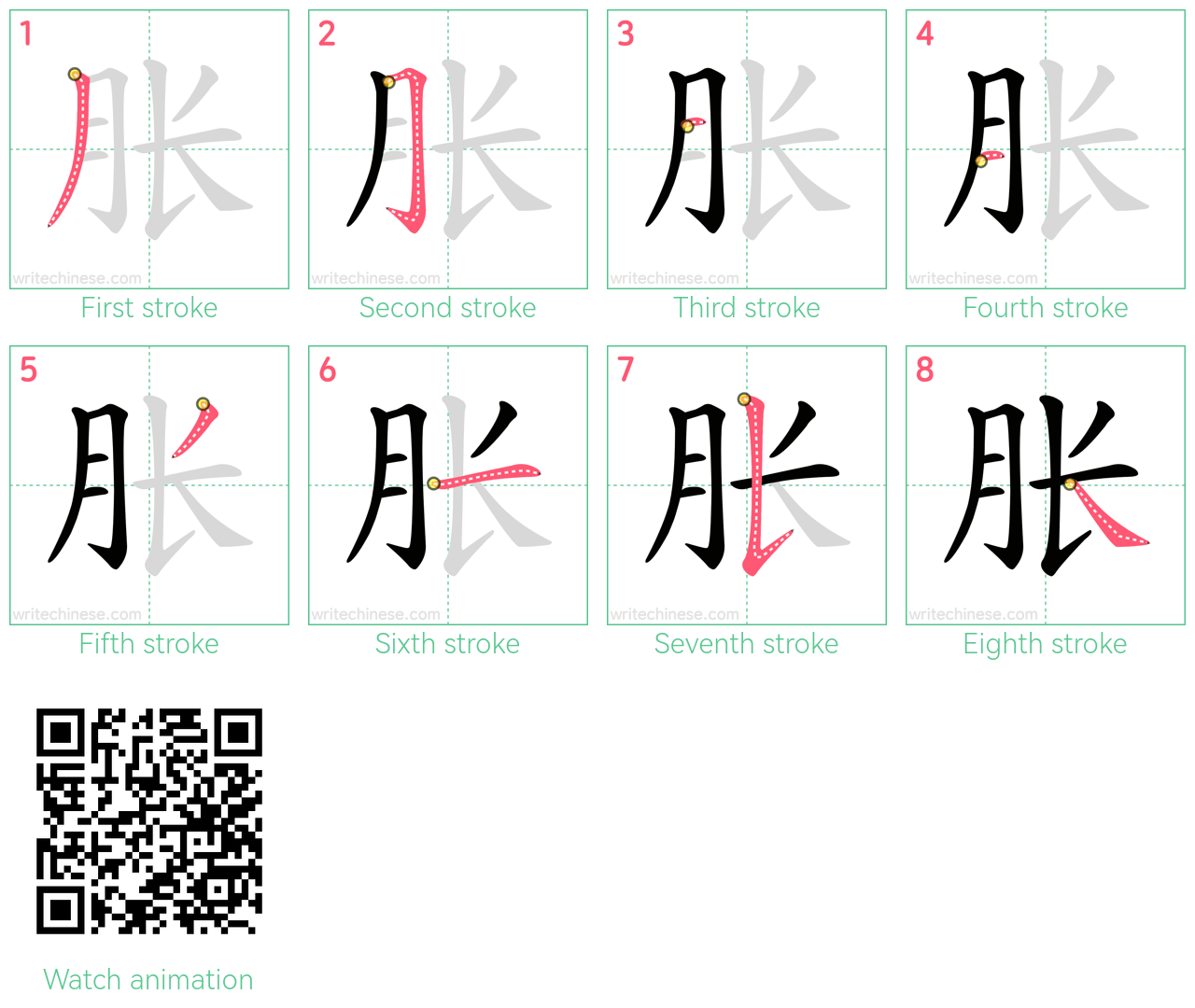 胀 step-by-step stroke order diagrams