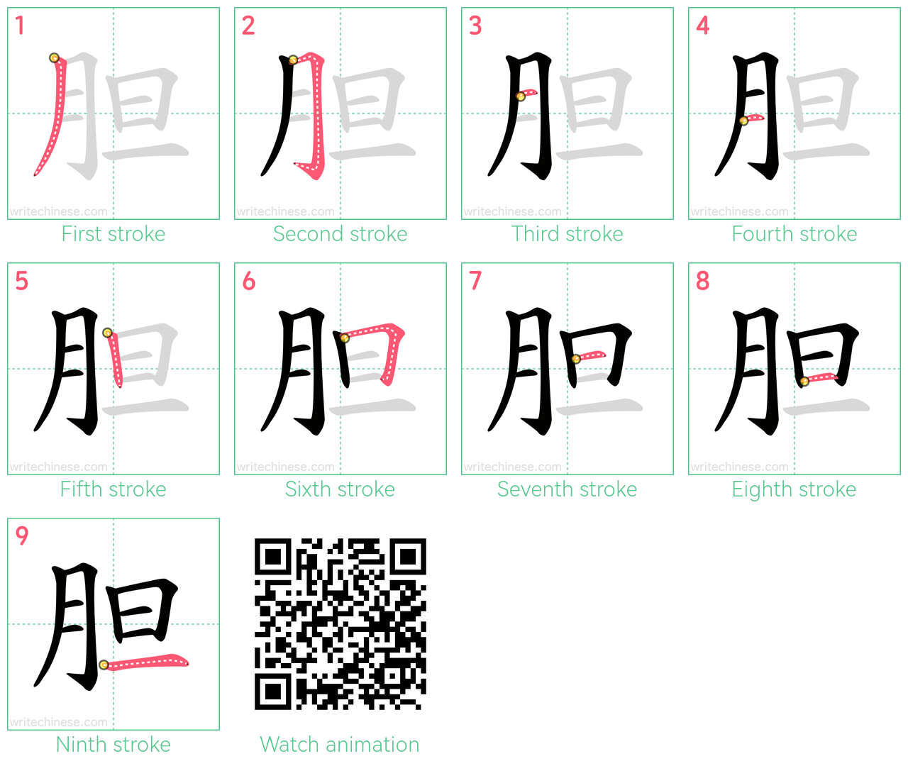 胆 step-by-step stroke order diagrams