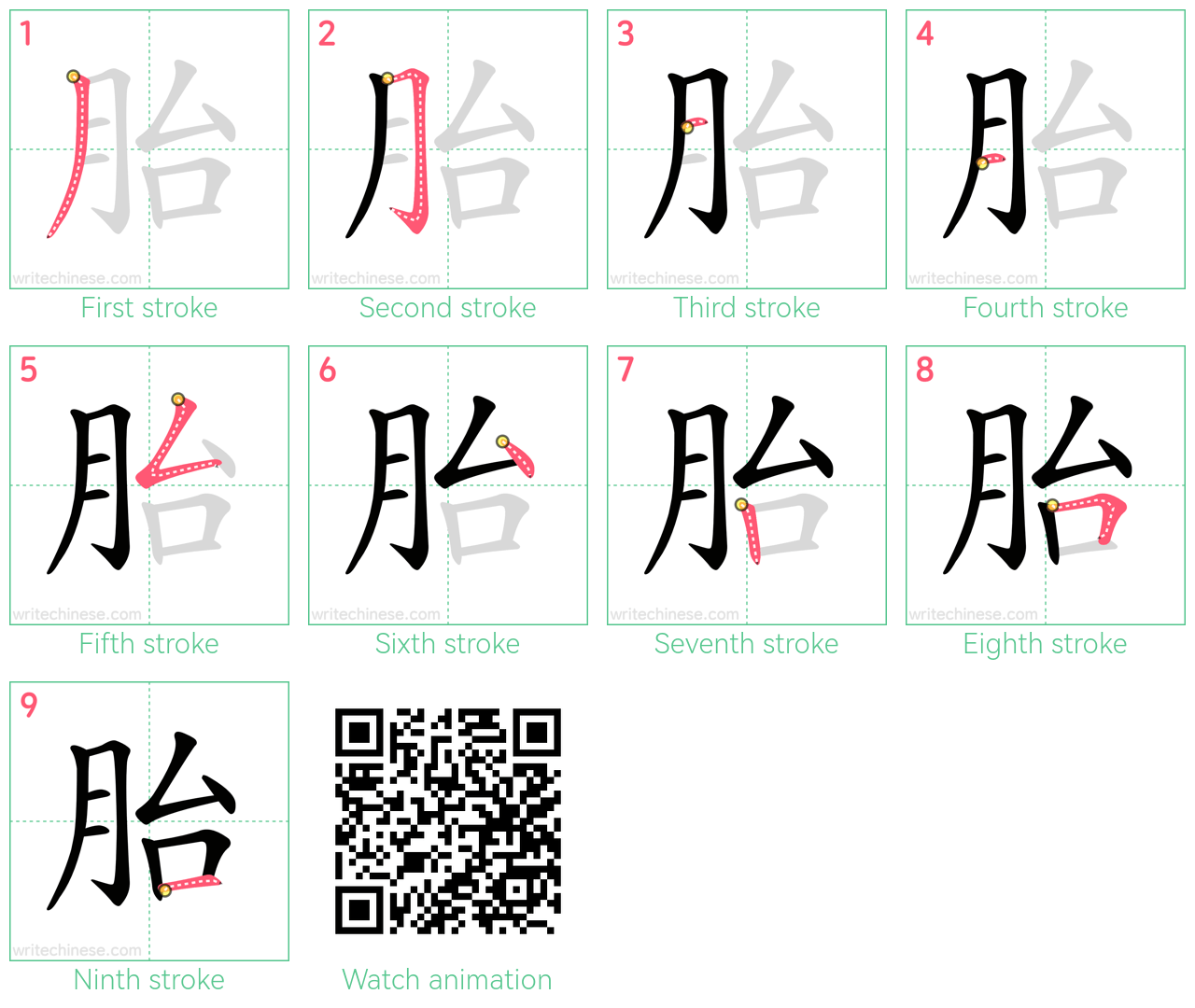 胎 step-by-step stroke order diagrams