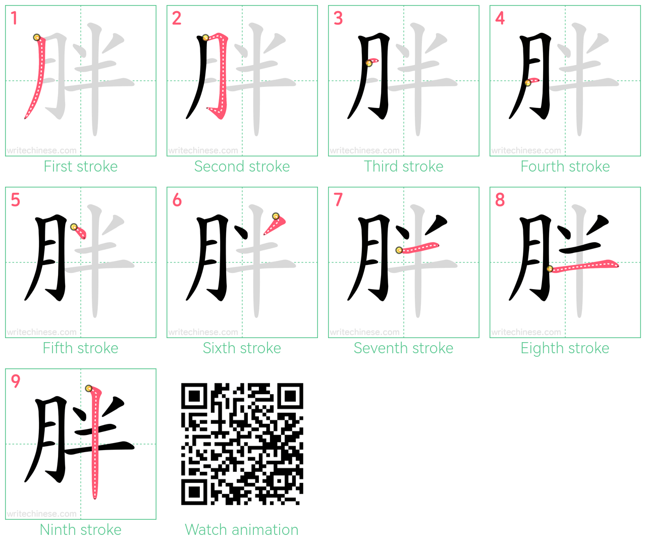 胖 step-by-step stroke order diagrams