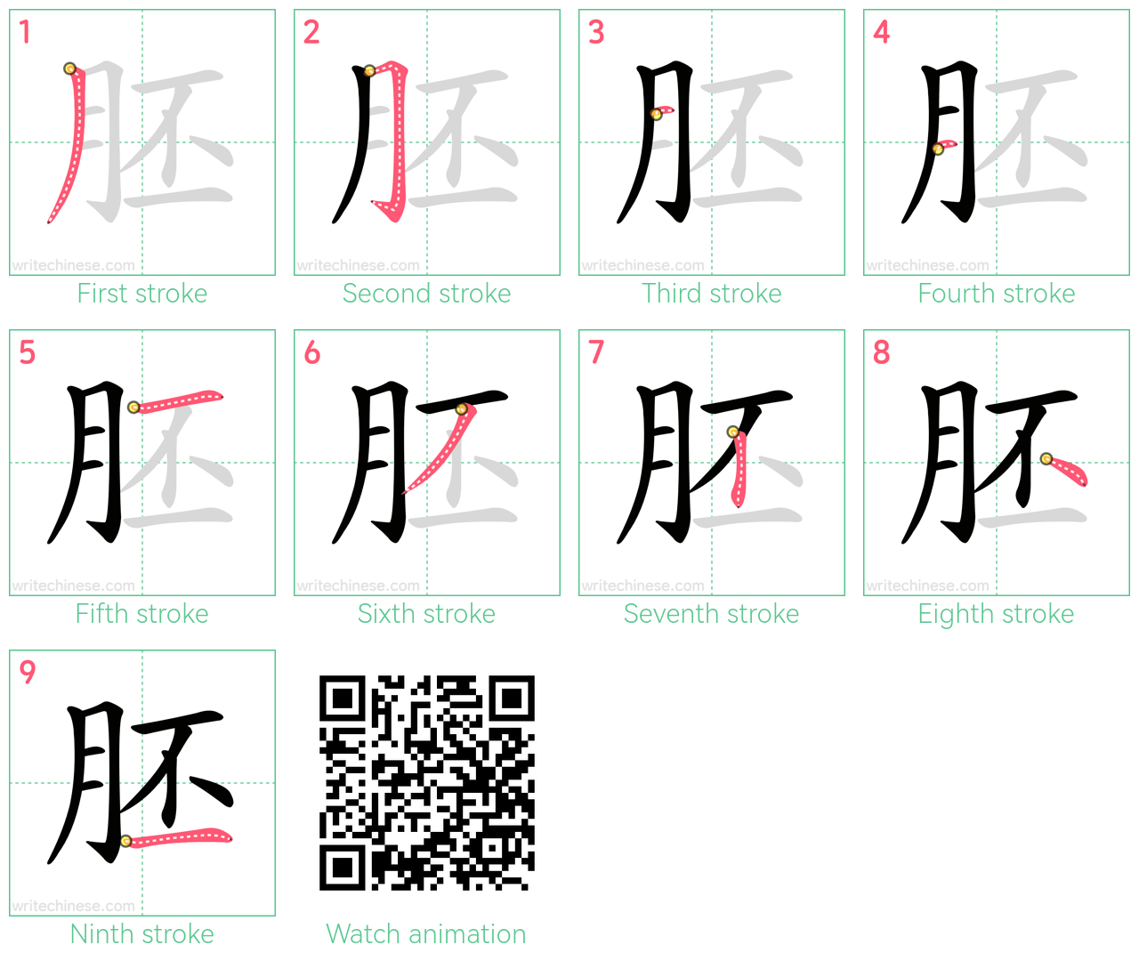 胚 step-by-step stroke order diagrams