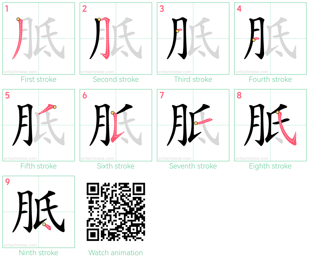 胝 step-by-step stroke order diagrams