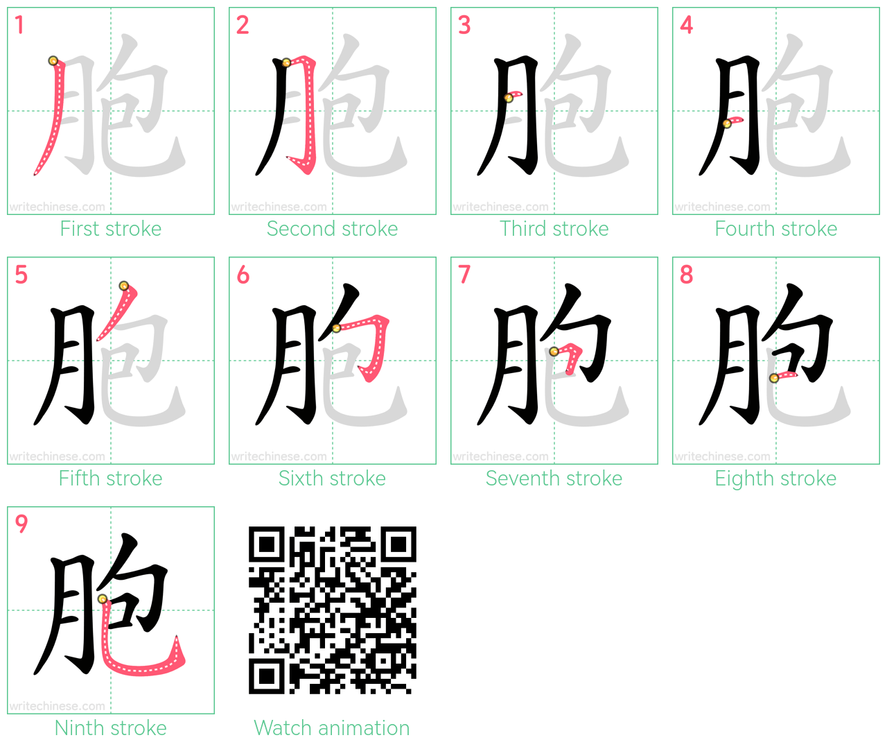 胞 step-by-step stroke order diagrams