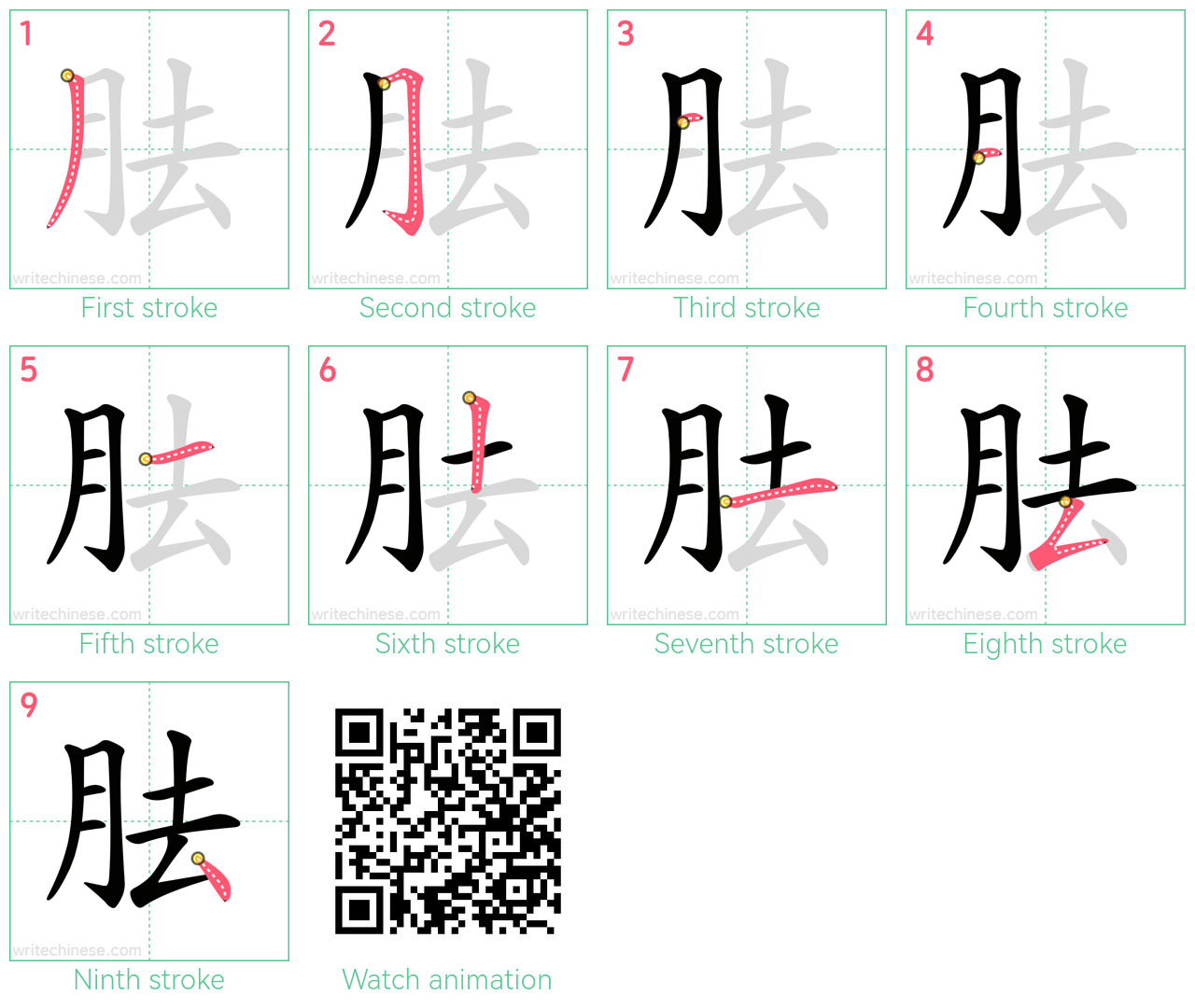 胠 step-by-step stroke order diagrams