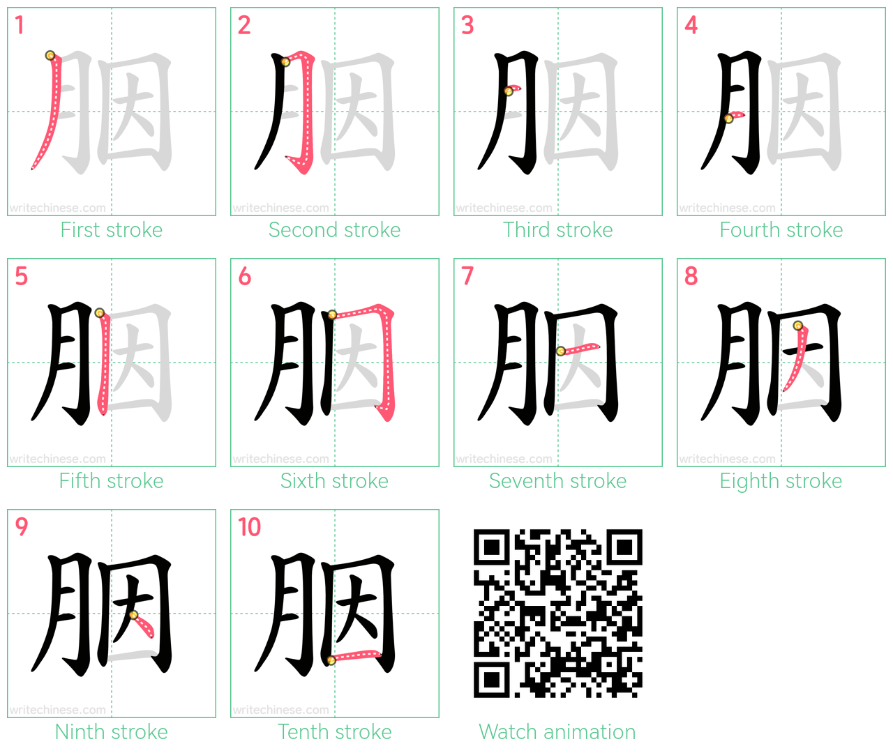 胭 step-by-step stroke order diagrams