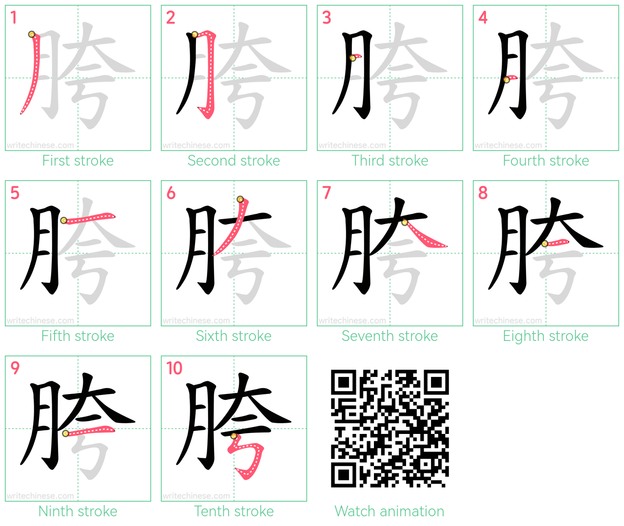 胯 step-by-step stroke order diagrams