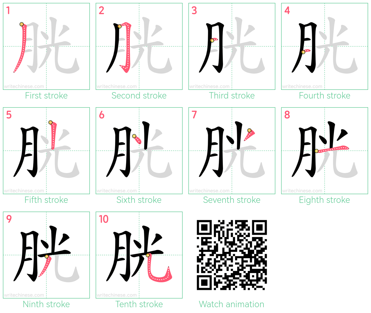 胱 step-by-step stroke order diagrams