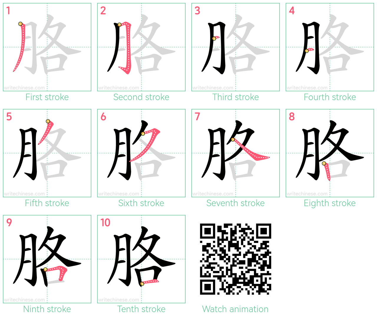 胳 step-by-step stroke order diagrams