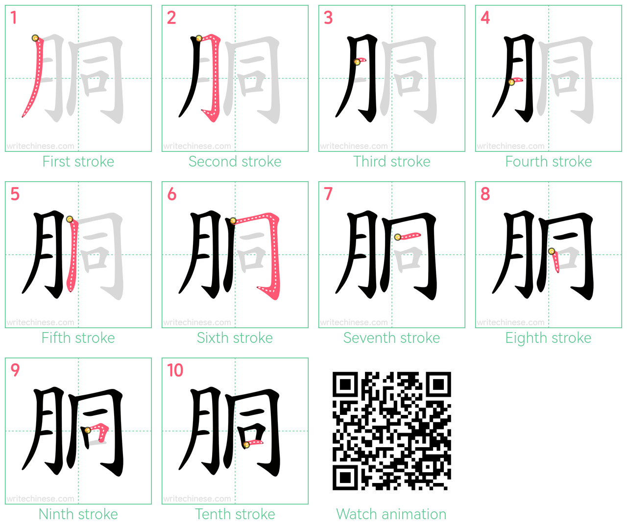 胴 step-by-step stroke order diagrams