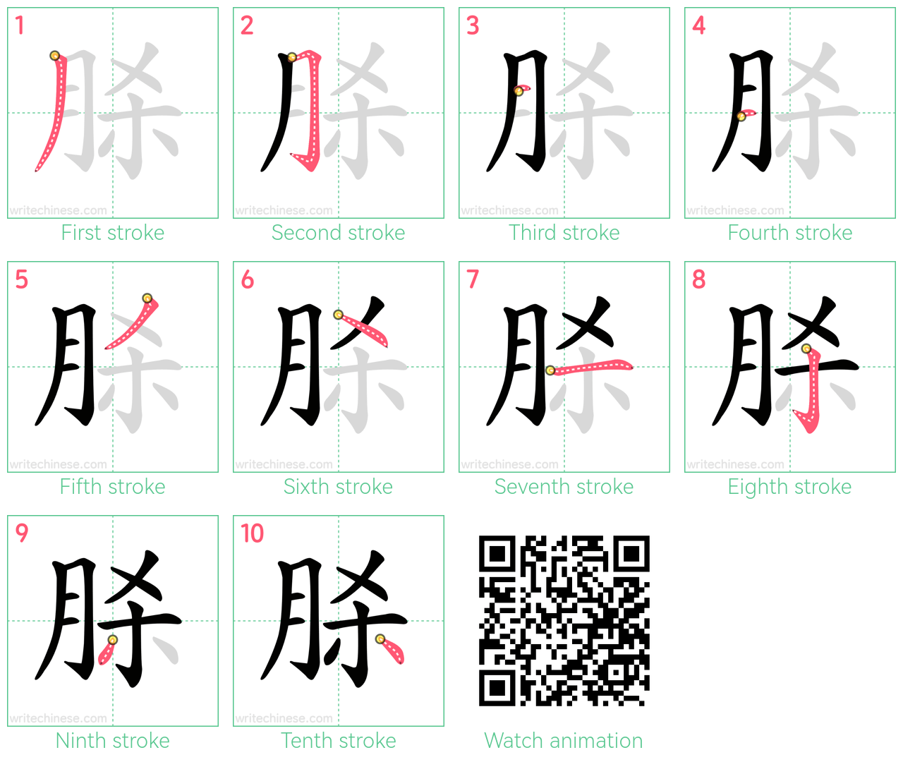 脎 step-by-step stroke order diagrams