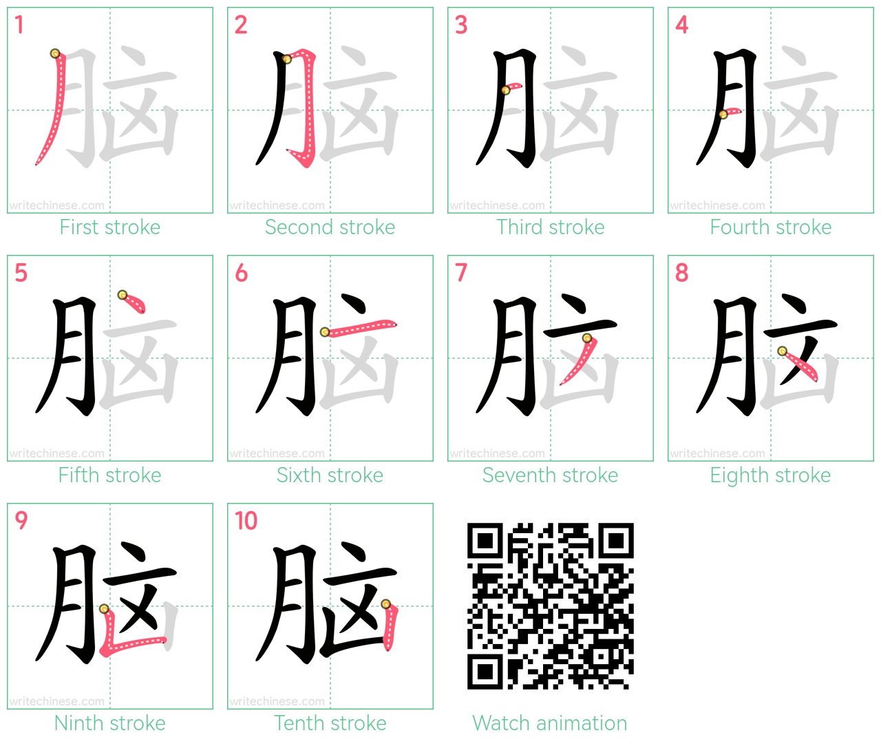 脑 step-by-step stroke order diagrams