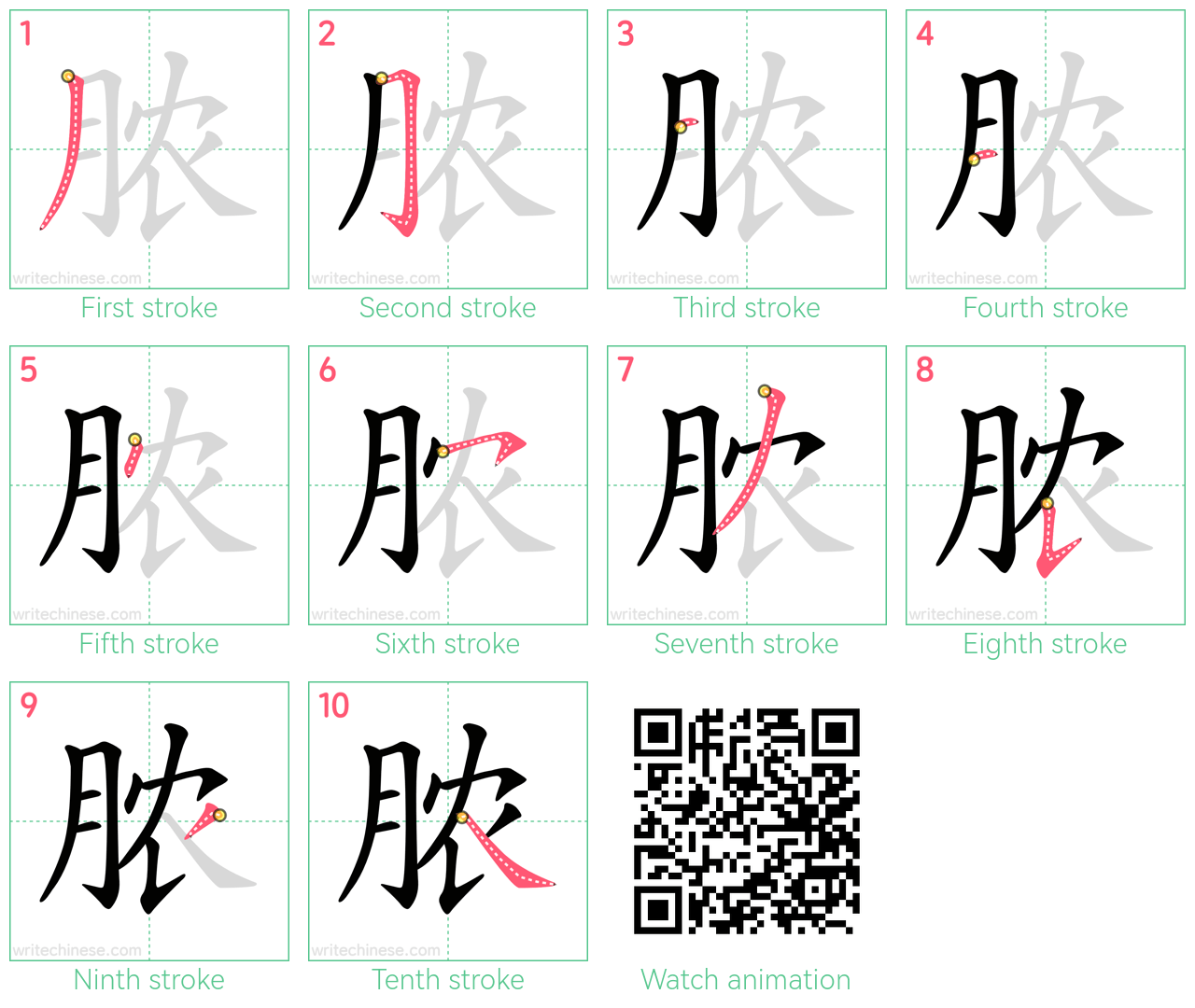 脓 step-by-step stroke order diagrams