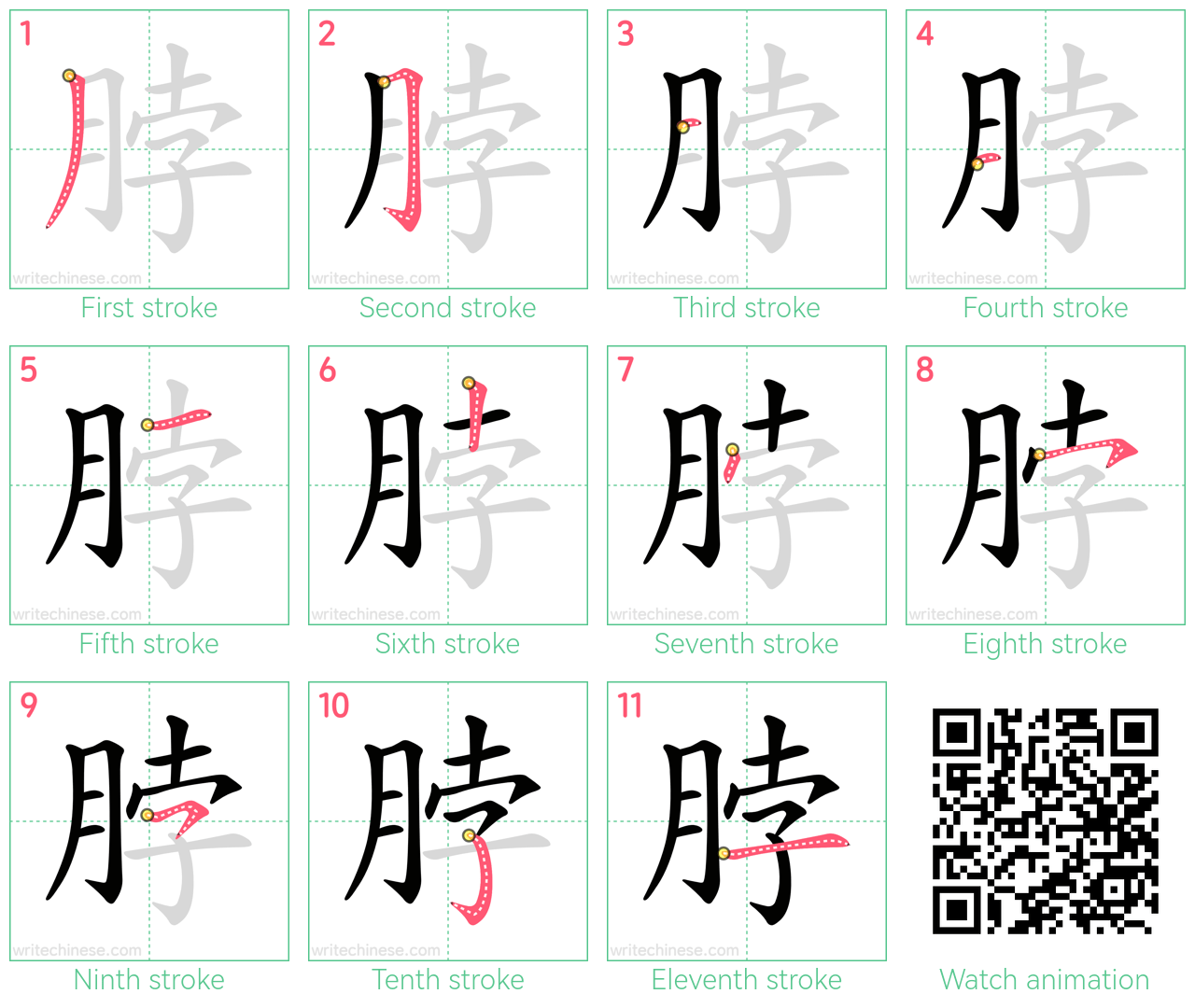 脖 step-by-step stroke order diagrams