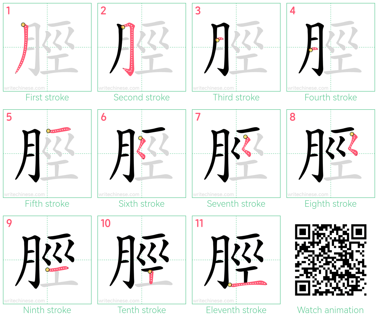 脛 step-by-step stroke order diagrams