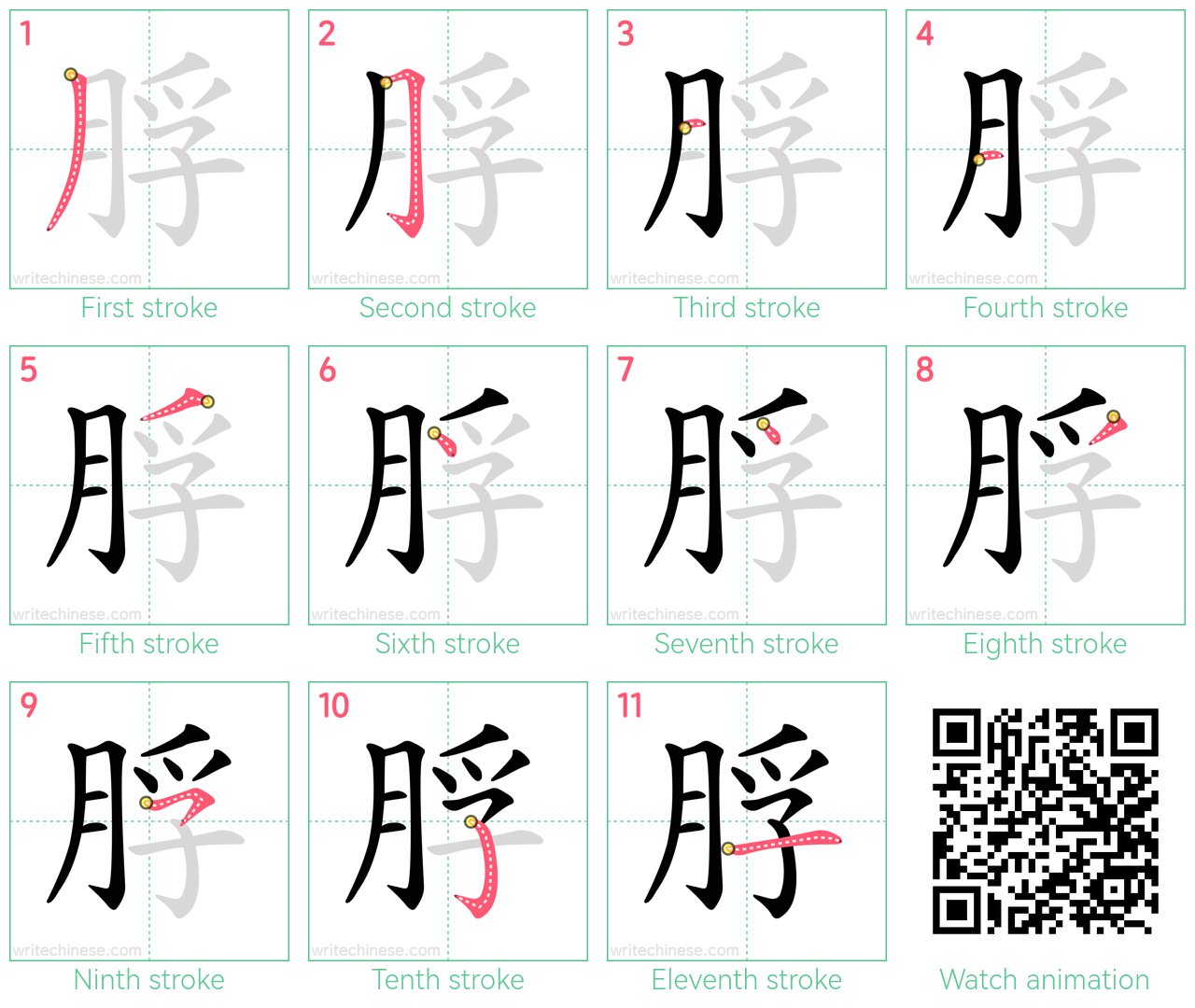 脬 step-by-step stroke order diagrams