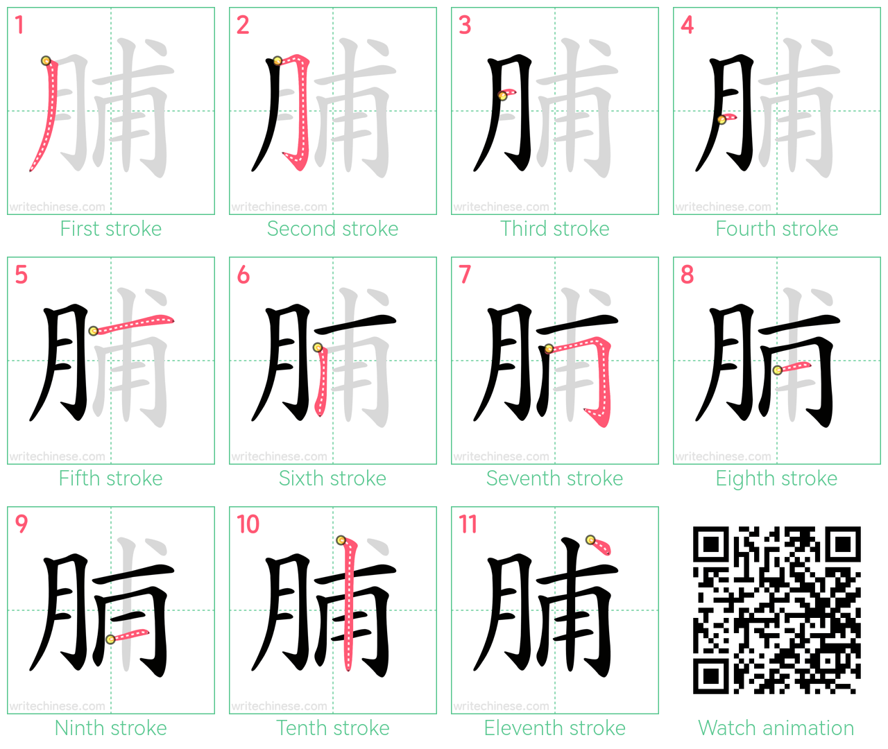 脯 step-by-step stroke order diagrams