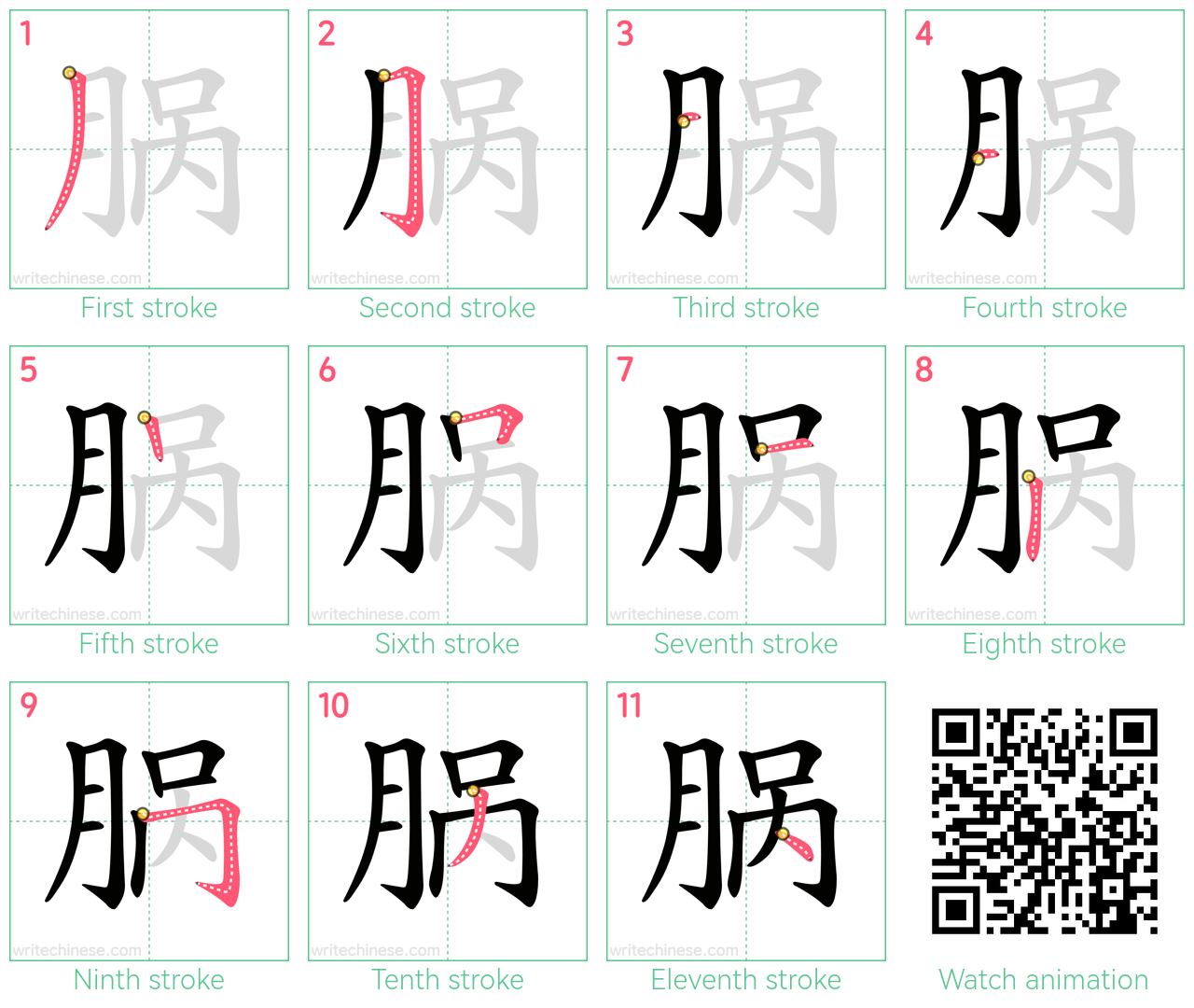 脶 step-by-step stroke order diagrams