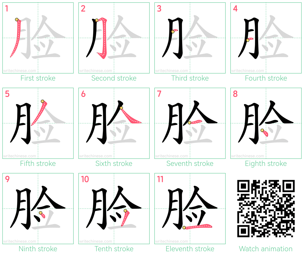 脸 step-by-step stroke order diagrams