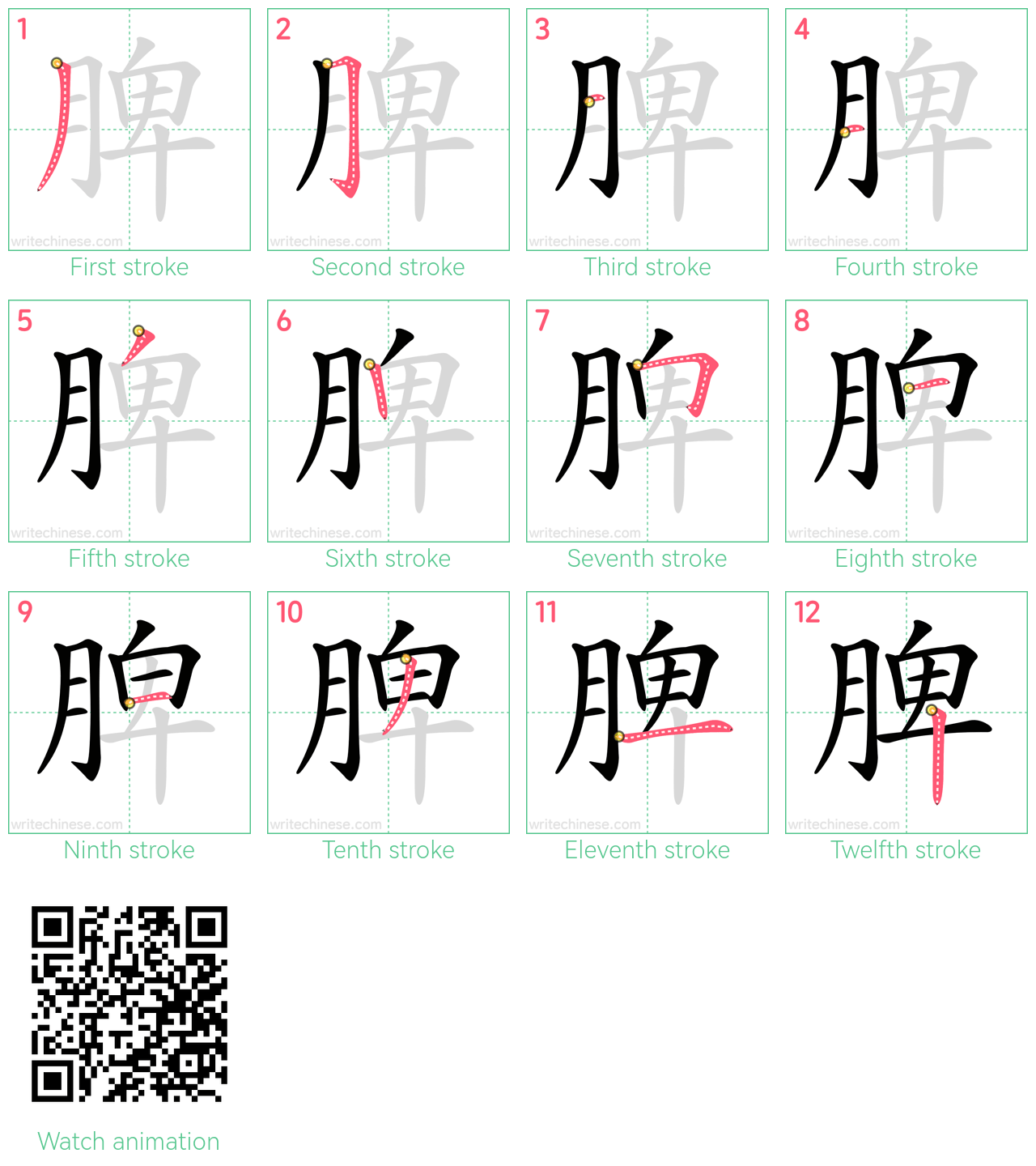 脾 step-by-step stroke order diagrams