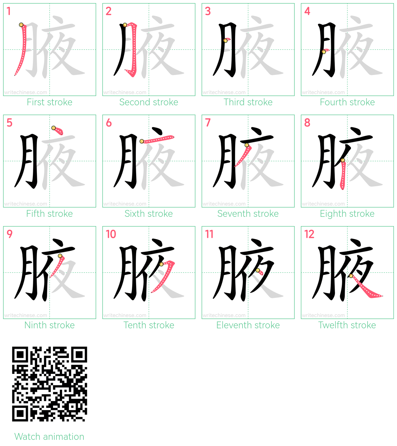 腋 step-by-step stroke order diagrams