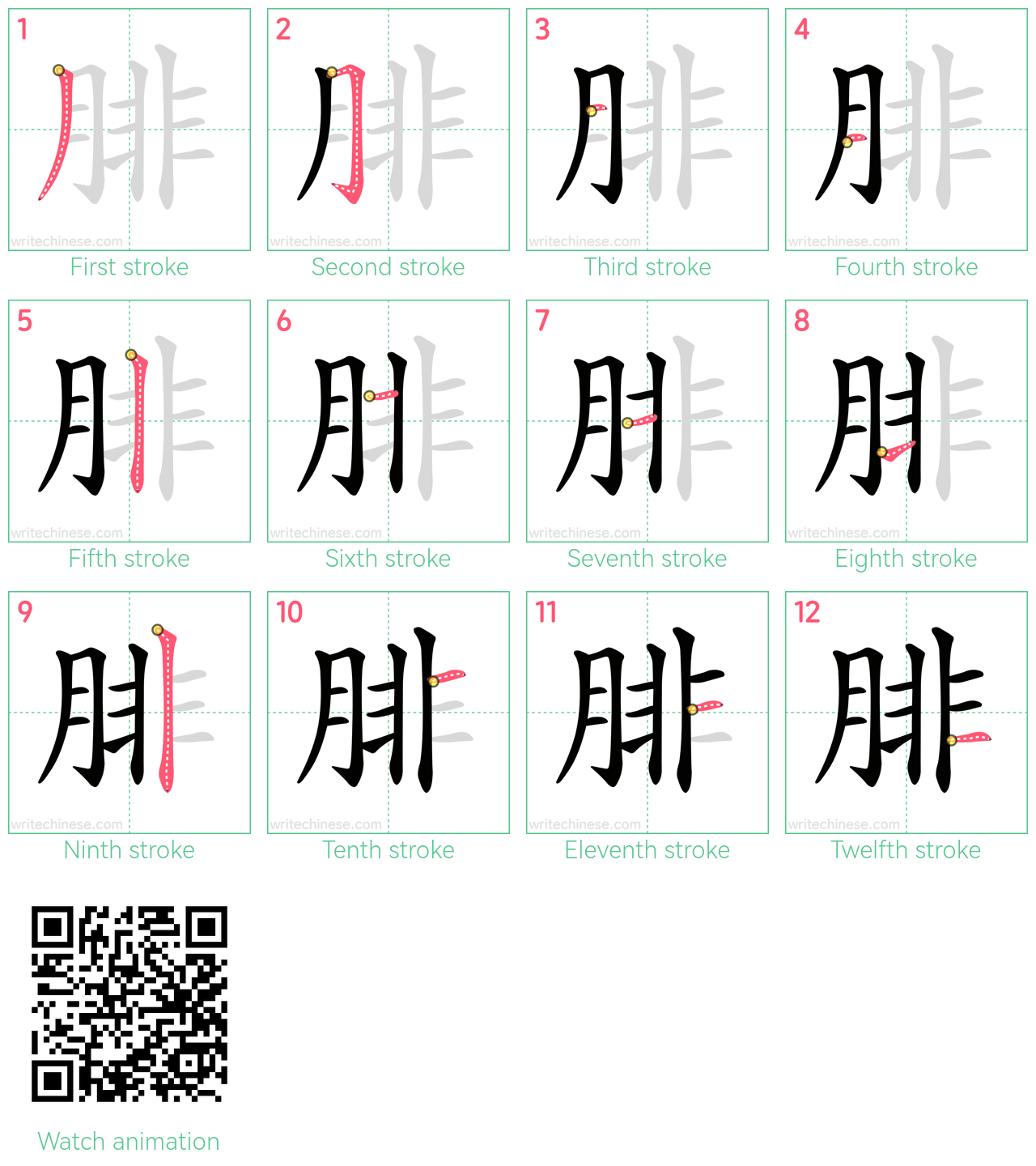 腓 step-by-step stroke order diagrams
