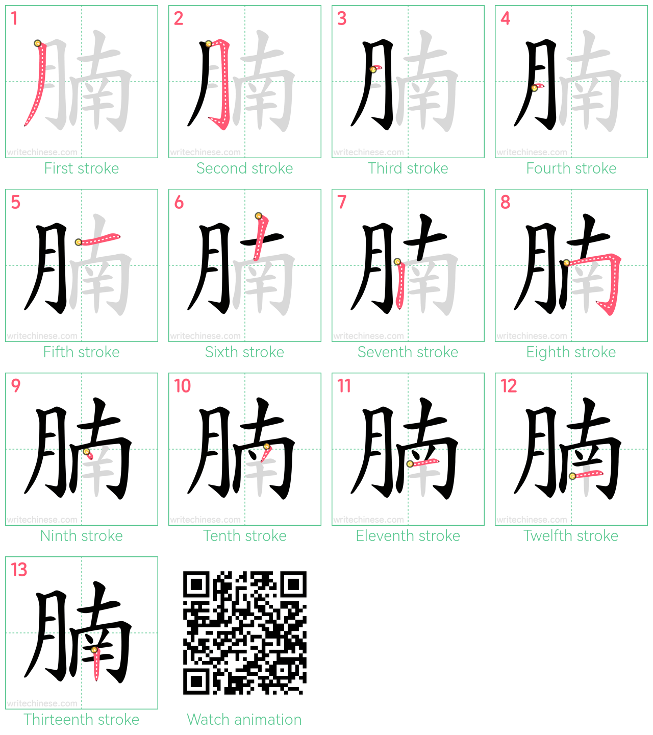 腩 step-by-step stroke order diagrams