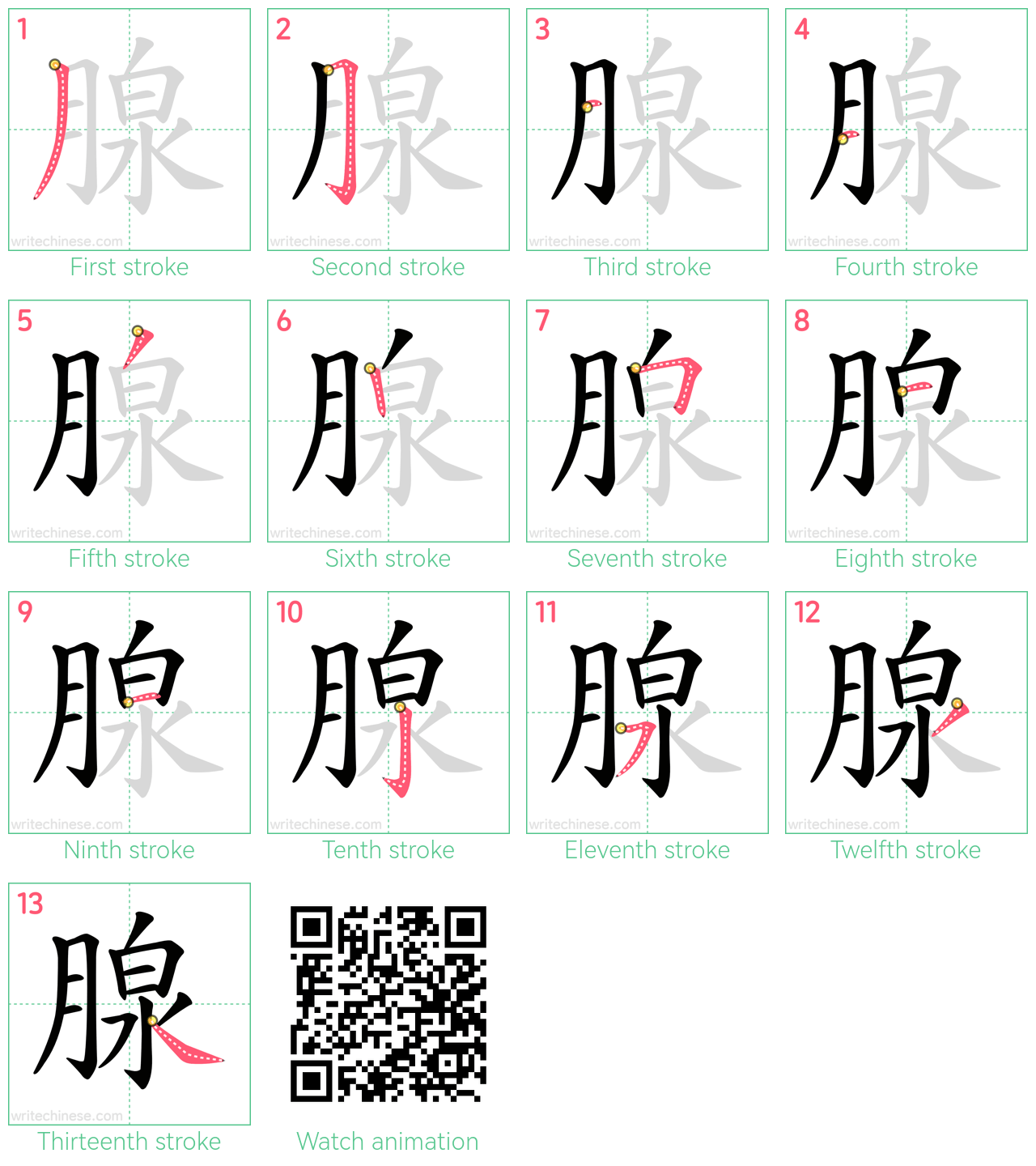 腺 step-by-step stroke order diagrams