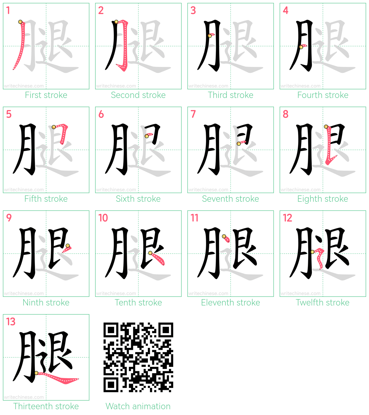 腿 step-by-step stroke order diagrams