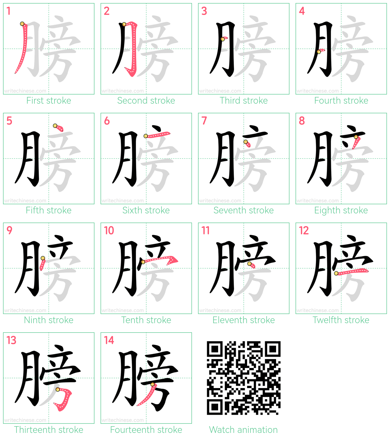 膀 step-by-step stroke order diagrams