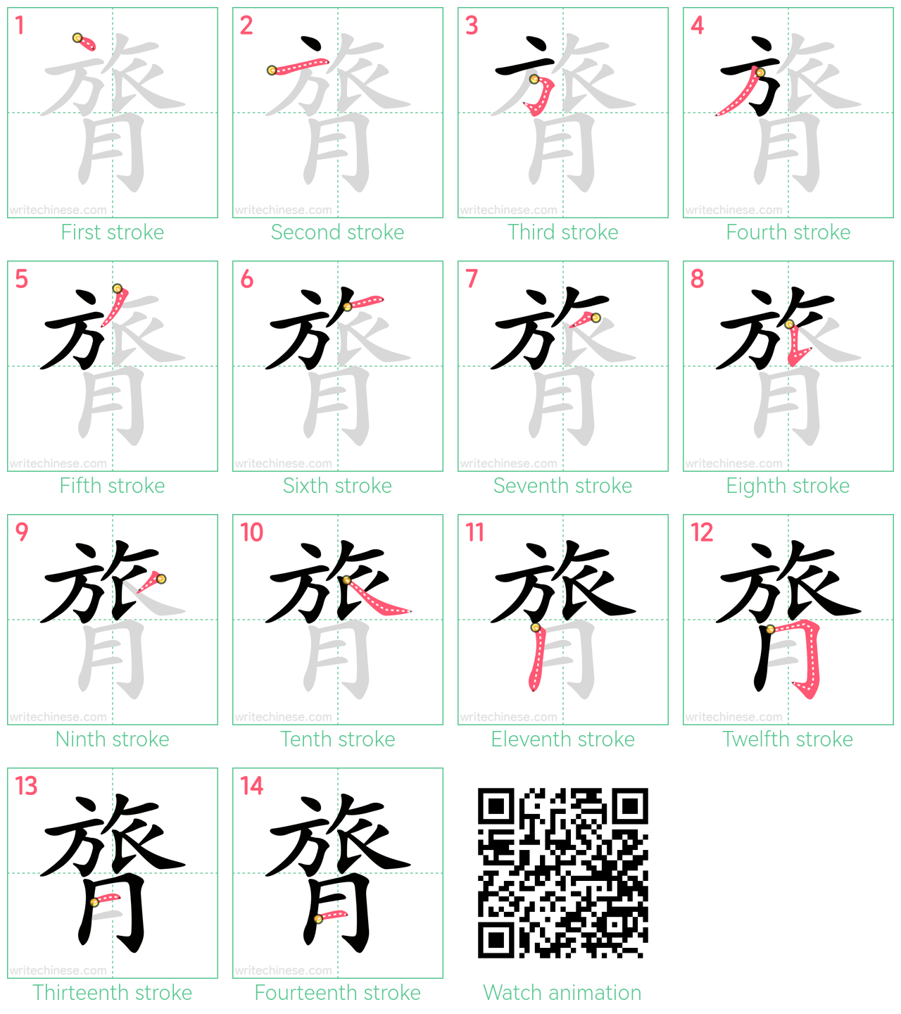 膂 step-by-step stroke order diagrams