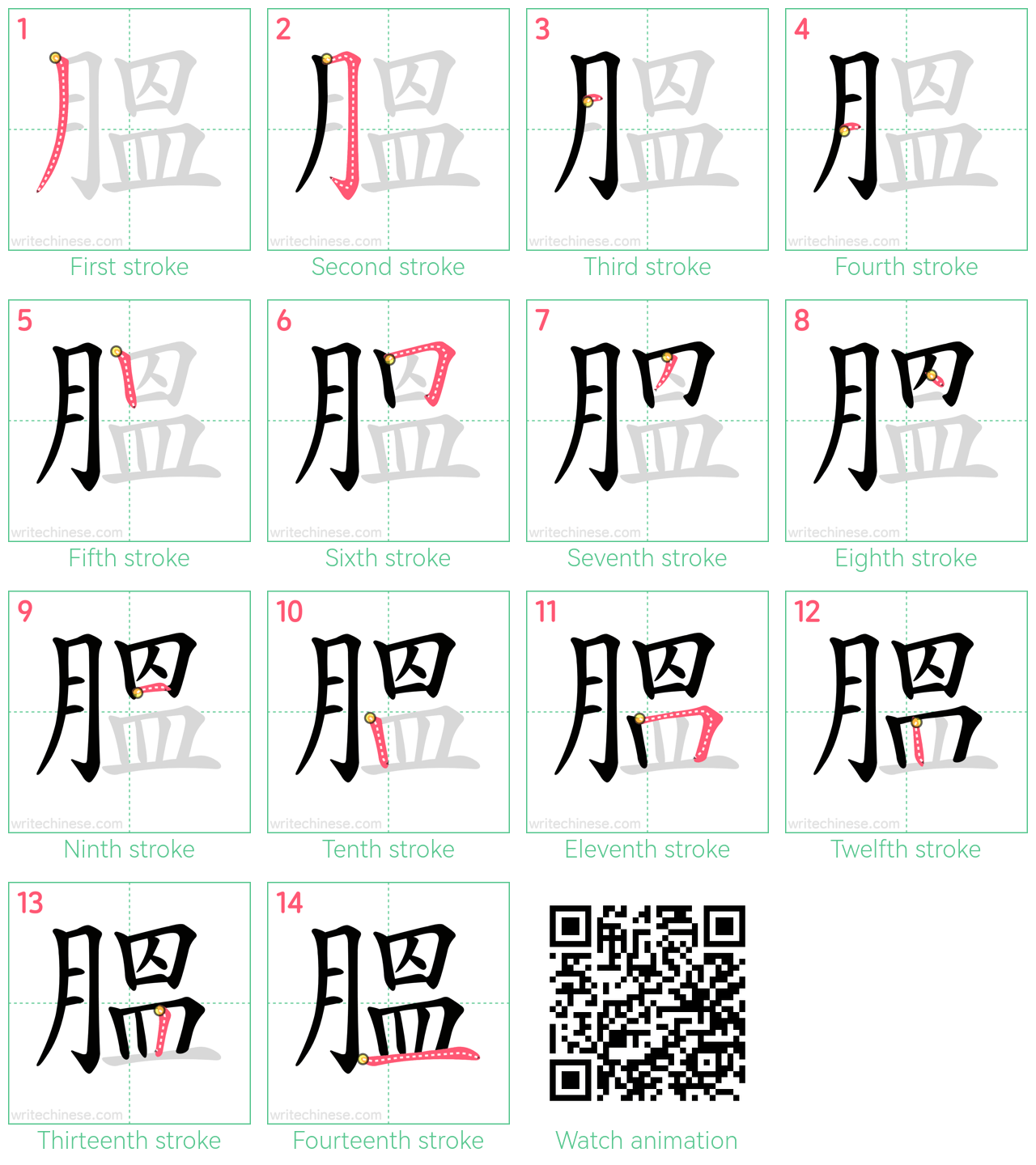 膃 step-by-step stroke order diagrams