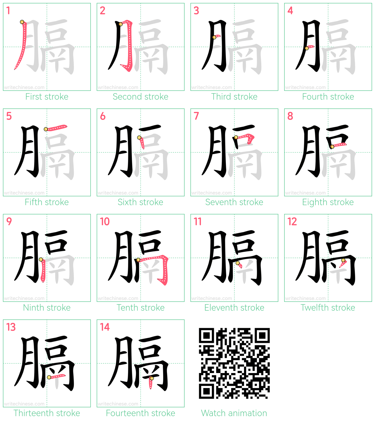 膈 step-by-step stroke order diagrams