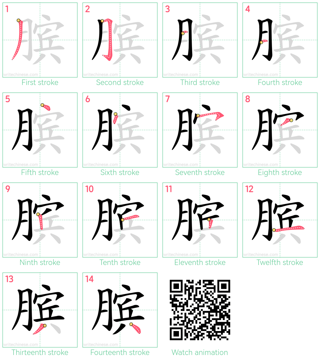 膑 step-by-step stroke order diagrams