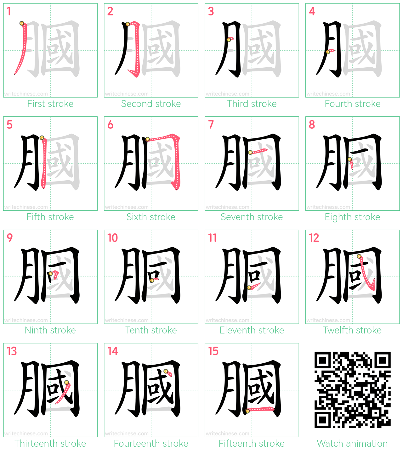 膕 step-by-step stroke order diagrams